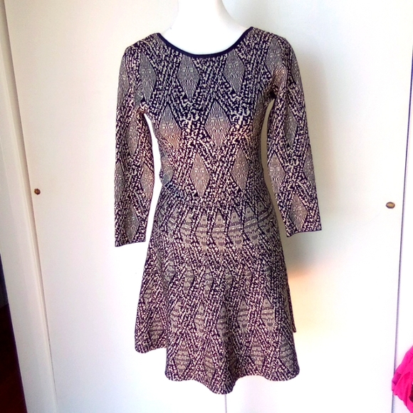 Zara Dresses & Skirts - COPY - Zara dress